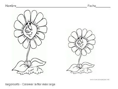 Educa Con Igualdad: Conceptos Básicos