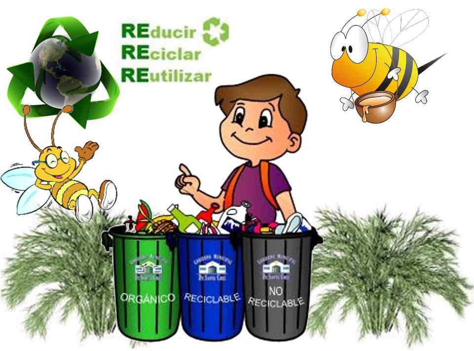 Educacion Ambiental : COMO CUIDAR NUESTROS RECURSOS NATURALES