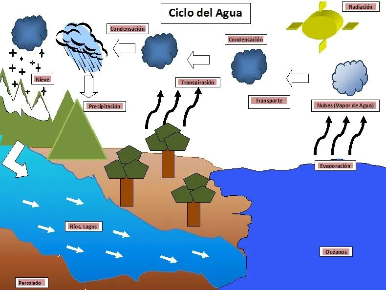 EDUCACIÓN CON CULTURA: Ciclo Hidrológico