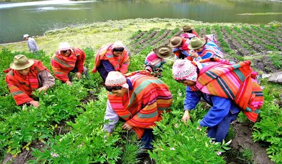 EDUCACIÓN FÍSICA ACTUAL: CHARLA EL DÍA DEL CAMPESINO 24 DE JUNIO ...