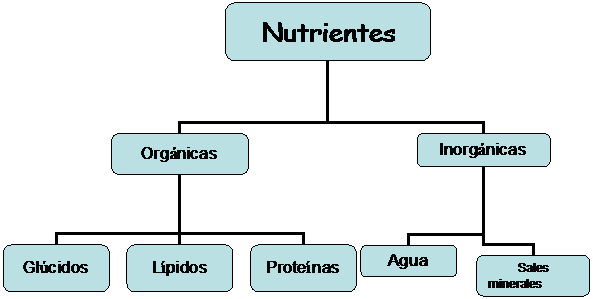 Educacion Fisica V : UNIDAD II NUTRIMENTOS ORGÁNICOS E INORGANICOS