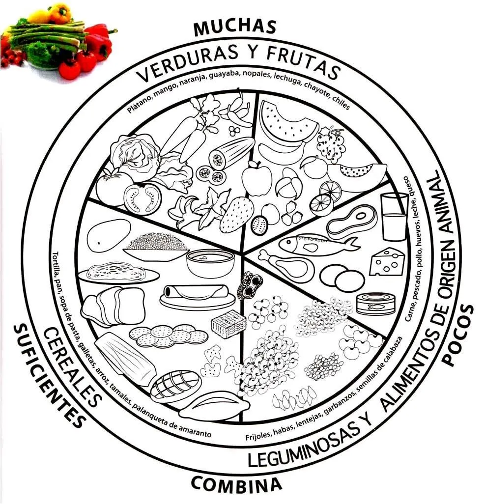 Educando y jugando: PLATO DEL BIEN COMER PARA COLOREAR | Alimentos para  colorear, Plato del bien comer, Plato del buen comer