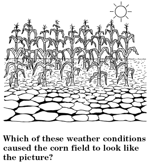 educarte.educarse: 2007-