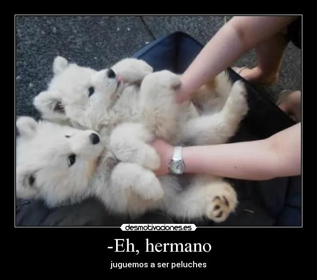 Eh, hermano | Desmotivaciones Eh, hermano | Desmotivaciones