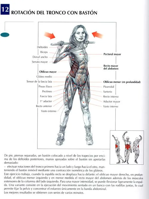 Ejercicios Abdominales : Fotos. Musculación y pesas.