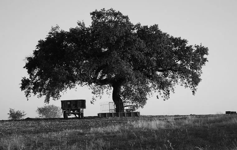 Ejercicios del curso de foto contemporánea. benito: noviembre 2010