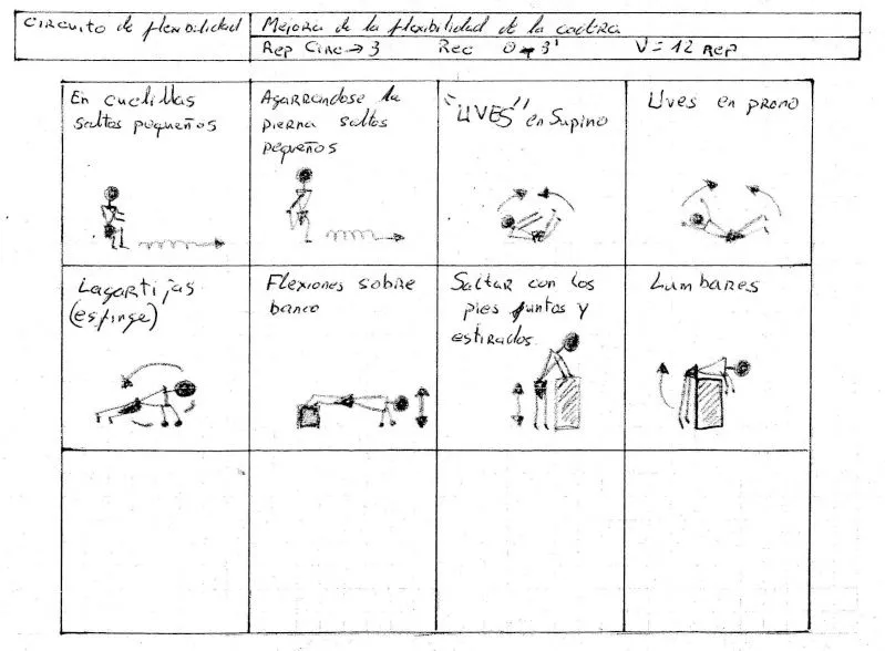 Ejercicios de flexibilidad - Imagui