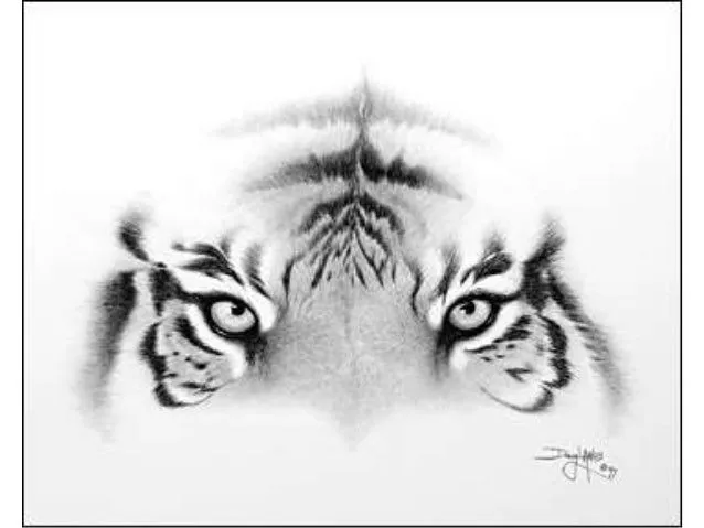 el-arte-de-doug-landis-dibujos ...