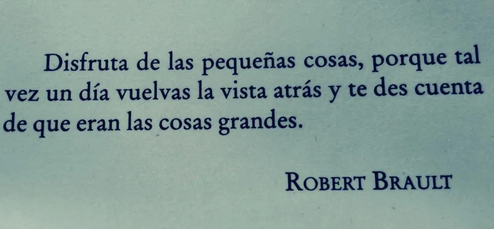 pequeñas cosas | ~El carpe diem en su mejor verso