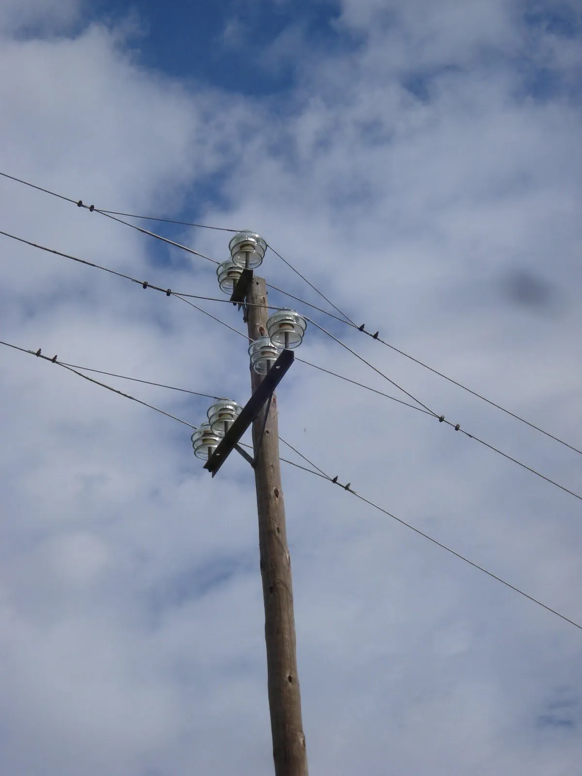 Electricidad/Electricitat: Postes de madera en MT