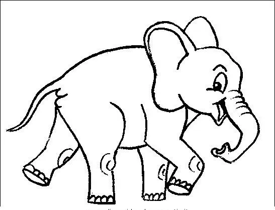 Elefante da colorare | Disegni Gratis