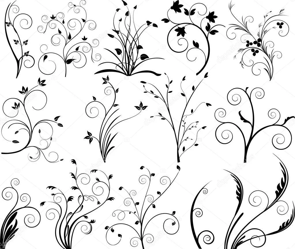 elementos de diseño ornamental - vector — Vector stock © vanias #