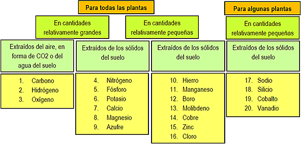 Elementos del suelo esenciales para las plantas