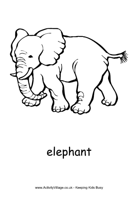 Elephant Colouring Pages