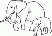 Elephants coloring pages | Super Coloring