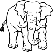 Elephants coloring pages | Super Coloring