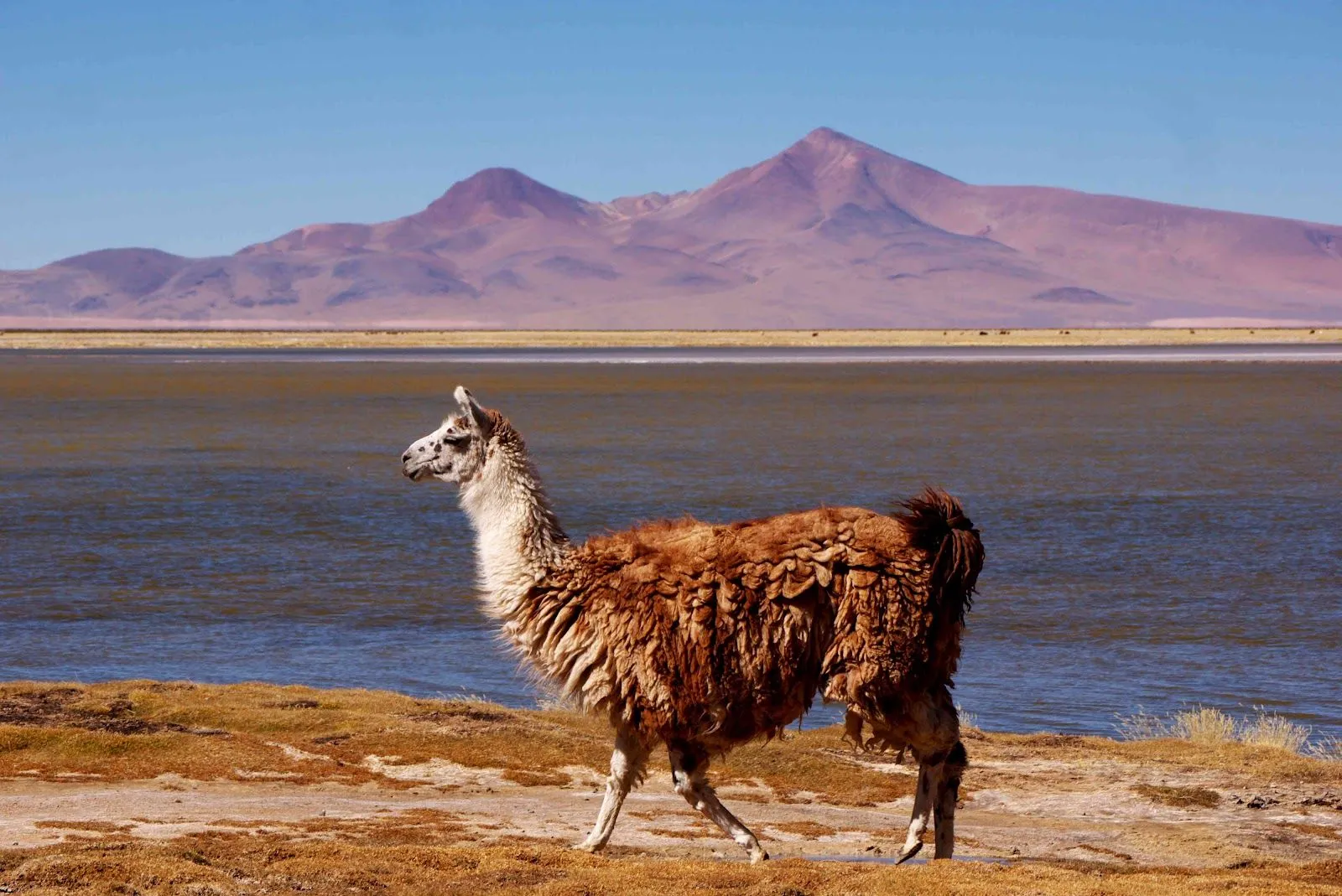 EligeNuestraAventura: junio 2012