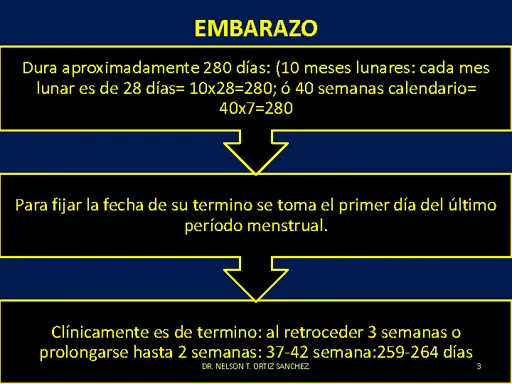 Embarazo y recien nacido prematuro - Monografias.