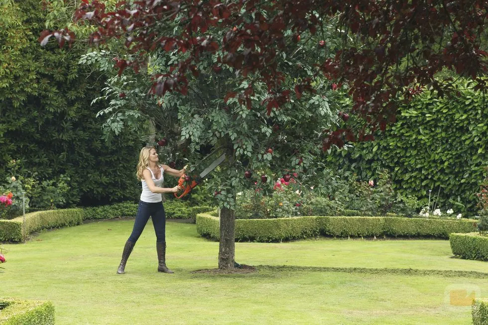 Emma tala el árbol de las manzanas de Regina en 'Once Upon a Time ...