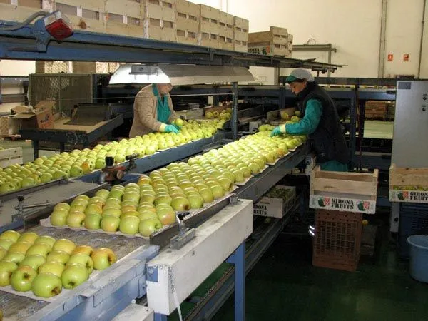 Las empresas preocupadas por la felicidad de sus empleados ...