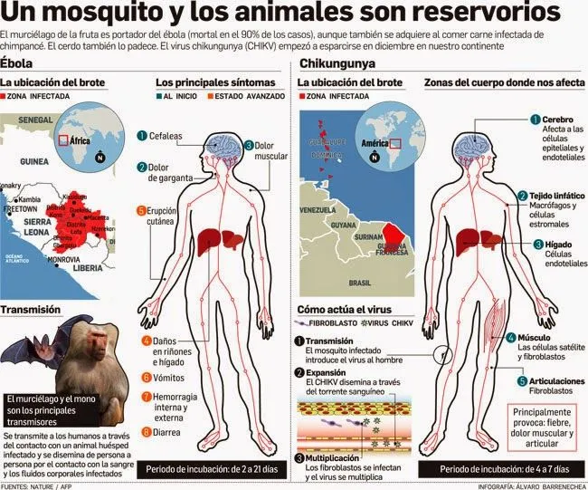 EMS SOLUTIONS INTERNATIONAL: Guía para el manejo clínico de ...