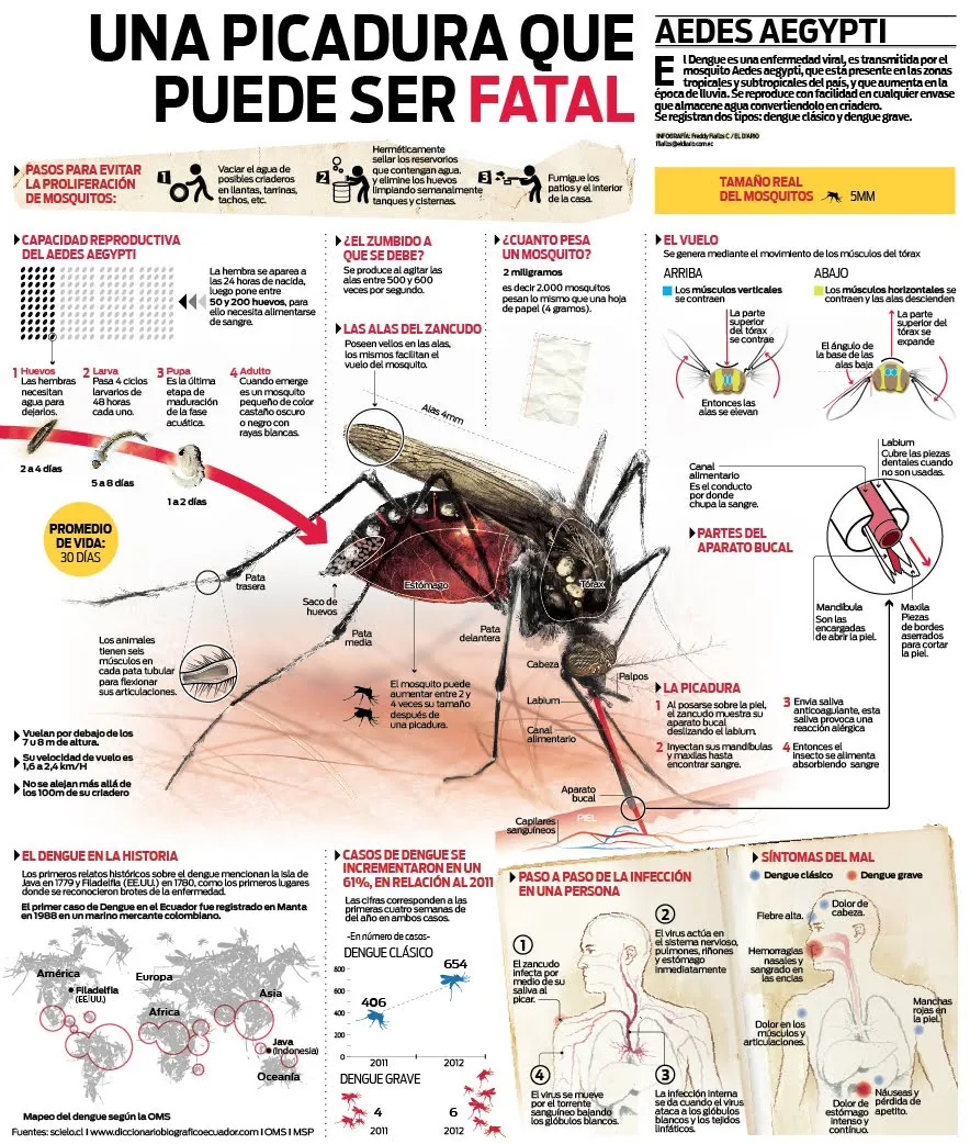 EMS SOLUTIONS INTERNATIONAL: INFORMACION SOBRE EL DENGUE / VACUNA ...