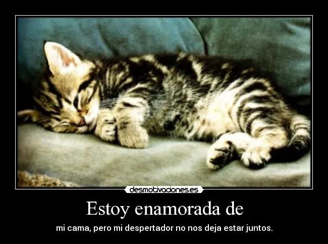 Estoy enamorada de | Desmotivaciones