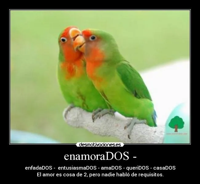 enamoraDOS - | Desmotivaciones