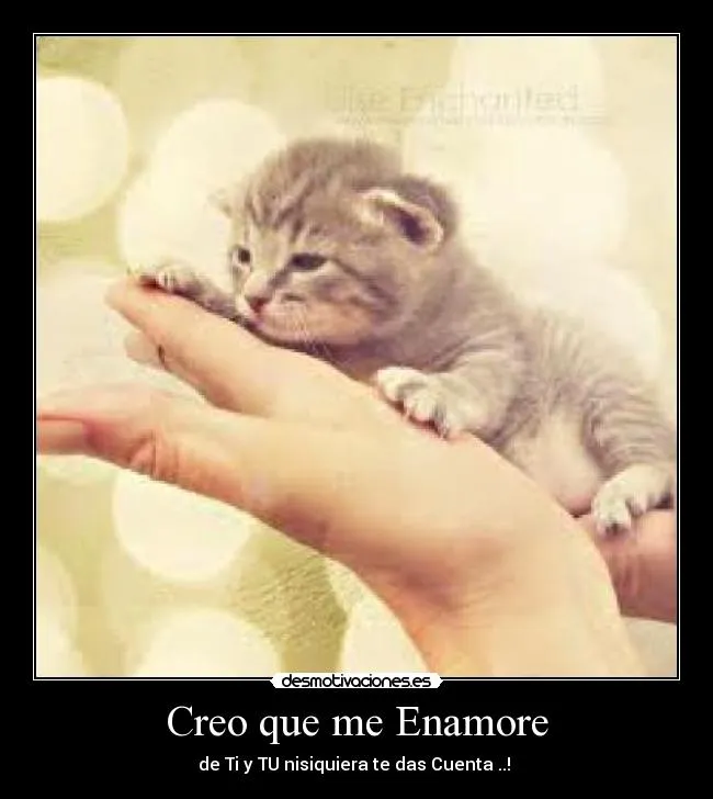 Creo que me Enamore | Desmotivaciones