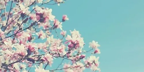 Encabezados para Facebook o Twitter. - Taringa!