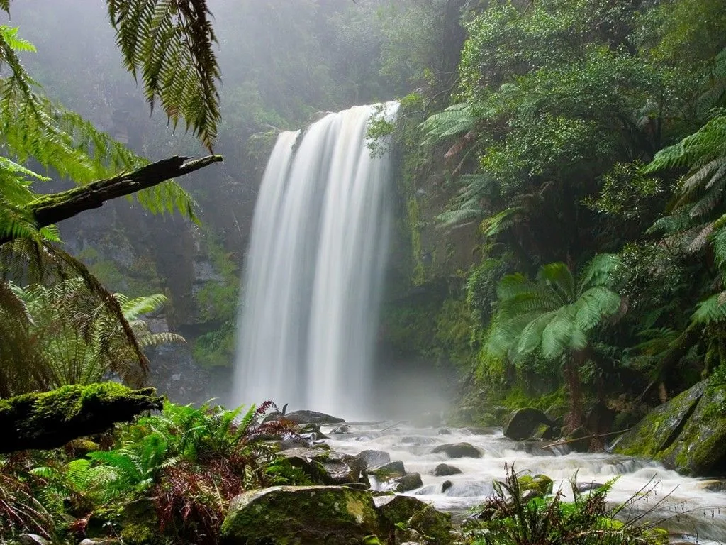 El Enclave Escarlata: La cascada