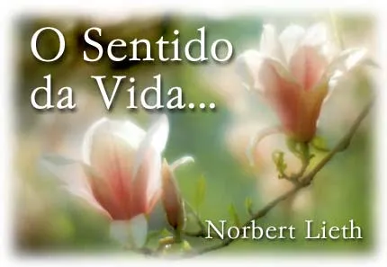 O Sentido da Vida. | Enchei-vos do Espírito Santo de Deus ...