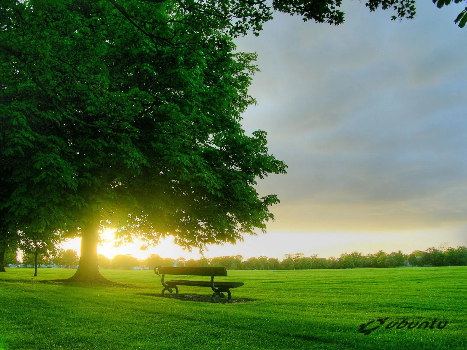  de enero de 2011 etiquetas arbol atardecer escritorio finca fondo hd ...