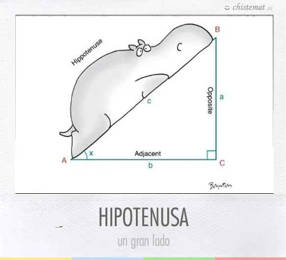 enero | 2014 | Chistemat | Página 2