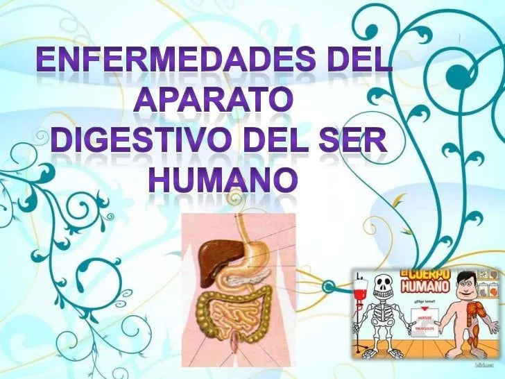 Enfermedades del aparato digestivo del ser humano