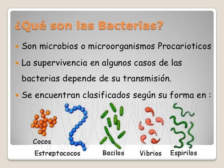 enfermedades-bacterianas-2-728 ...