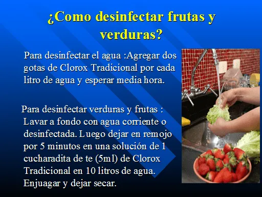 Enfermedades trasmitidas por los alimentos e higiene alimentaria ...