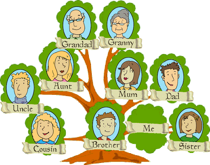 English Exercises: The family