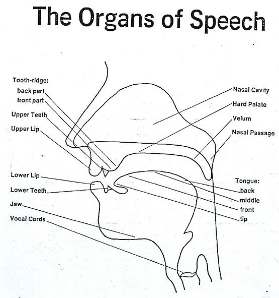 English Pronunciation Online: March 2010