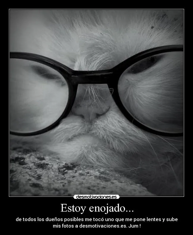 Estoy enojado... | Desmotivaciones