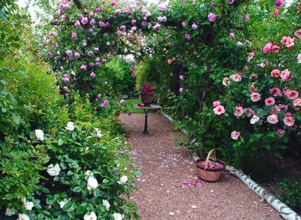 Enredaderas y cubresuelos - Guia de Jardineria - Jardines y ...