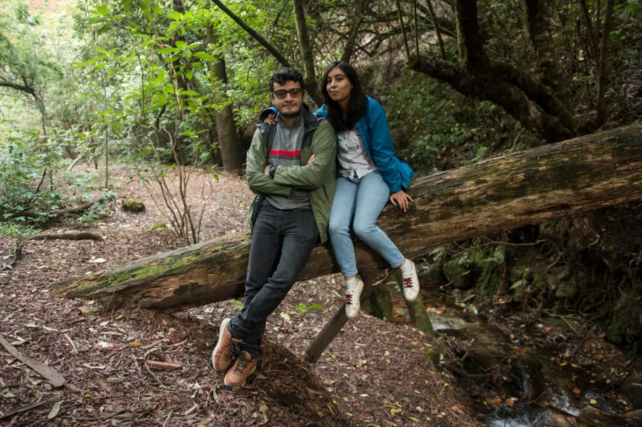 Ellos enseñan educación ambiental a través de libros para colorear | EL  ESPECTADOR