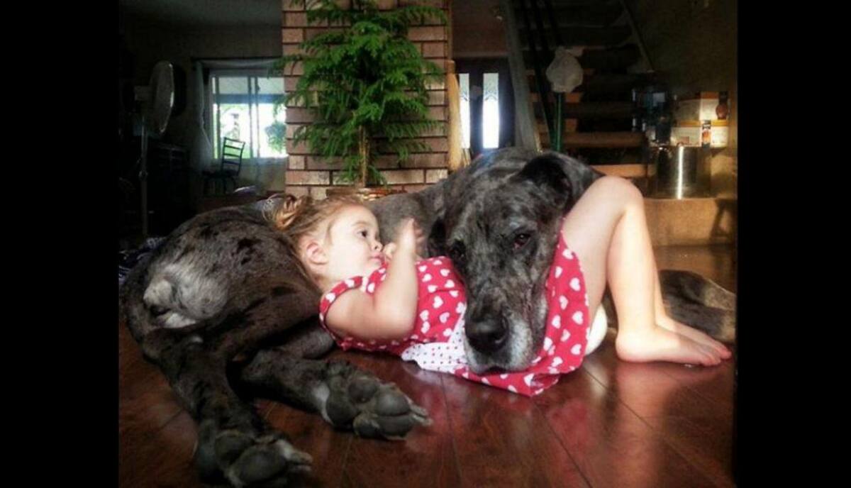 Enternecedoras imágenes de bebés junto a sus mascotas