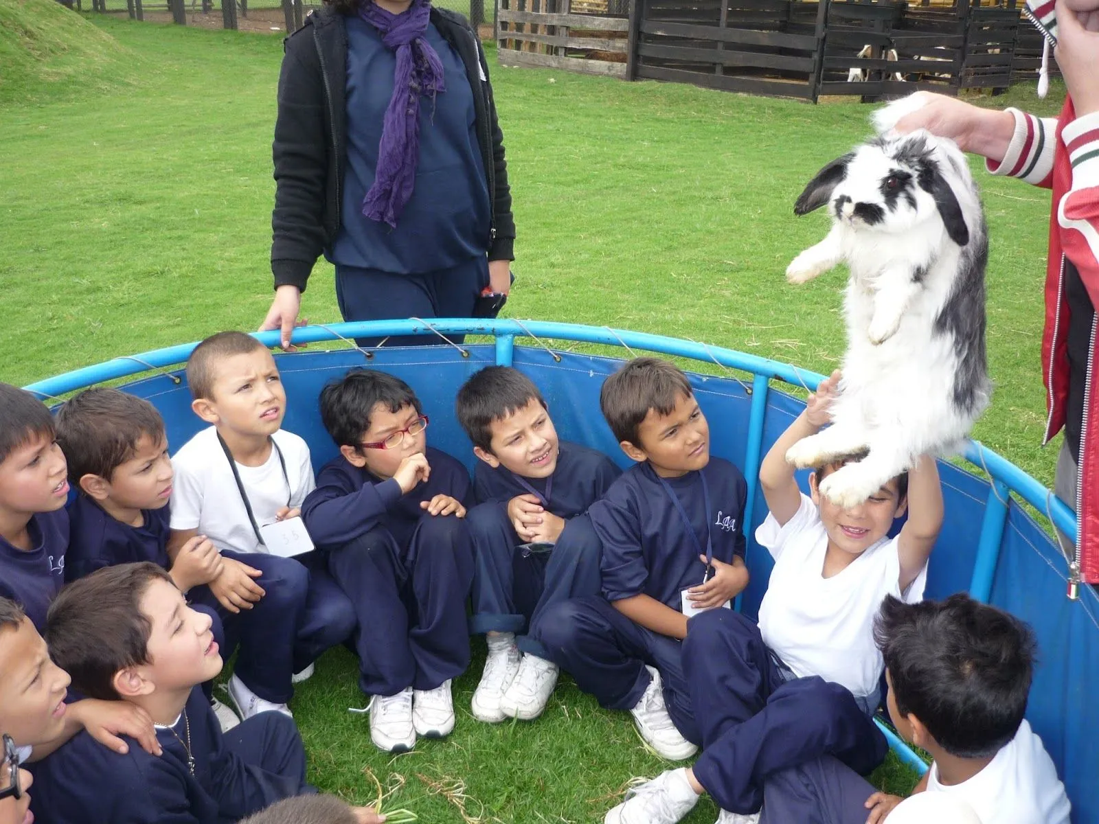 Mi entorno un mundo de posibilidades para vivir, divertirme y ...