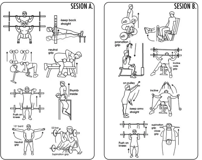 ENTRENAMIENTO INTELIGENTE: UN EJEMPLO: PROGRAMA DE ENTRENAMIENTO ...