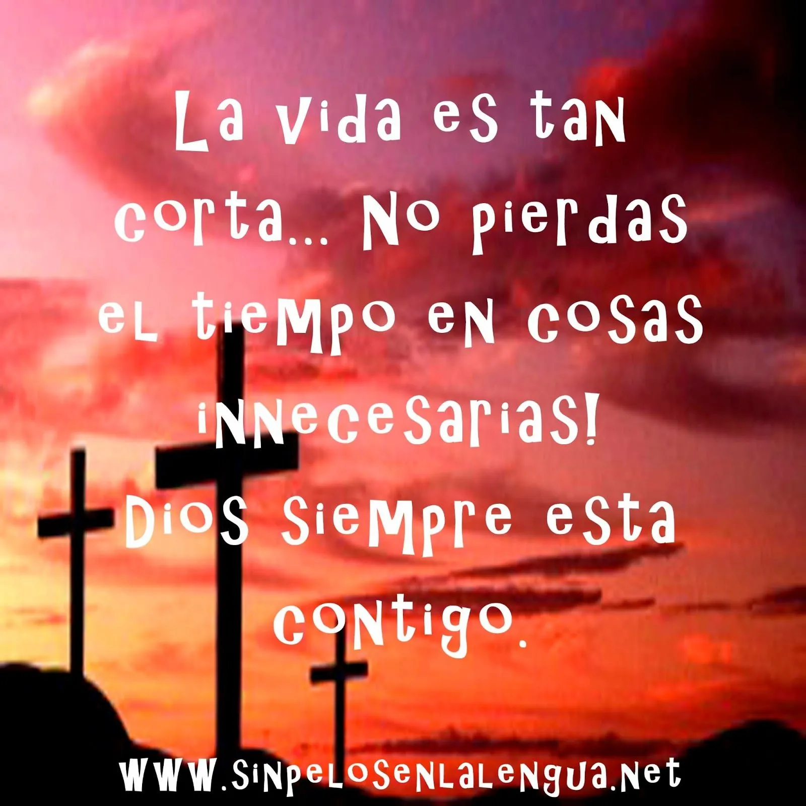 Envía Imágenes de Dios 2013 | Sinpelosenlalengua.