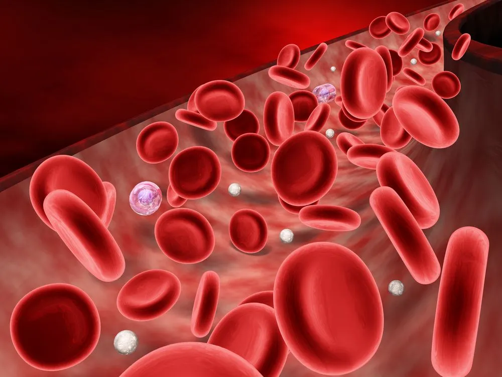 Unas enzimas convierten cualquier sangre en tipo O | biologia1univia