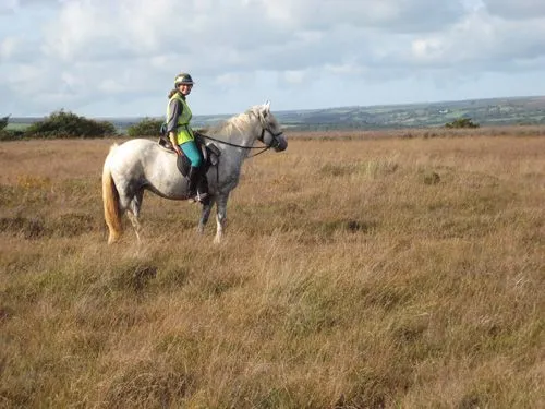 Equestrian Travel Articles - Horse Riding in Devon, England- Part ...