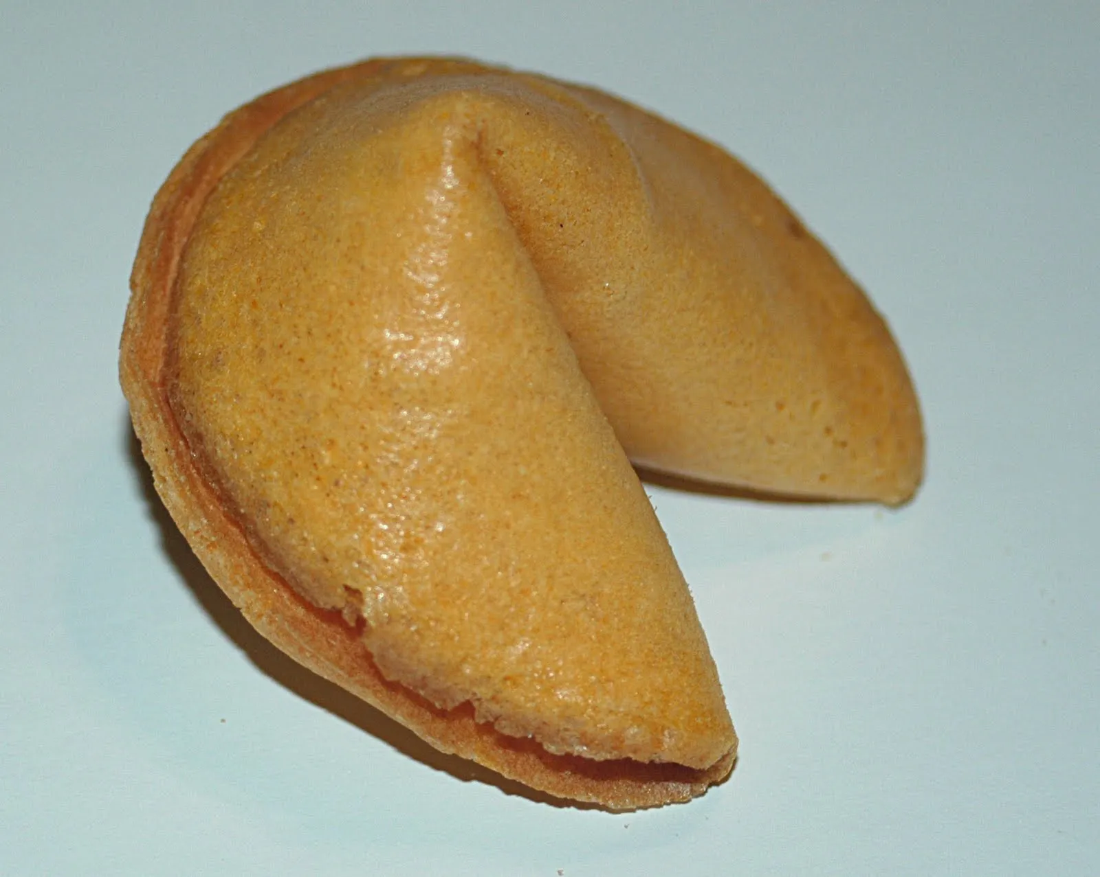 Erika Andrea Silva Urbano: Galleta de la fortuna