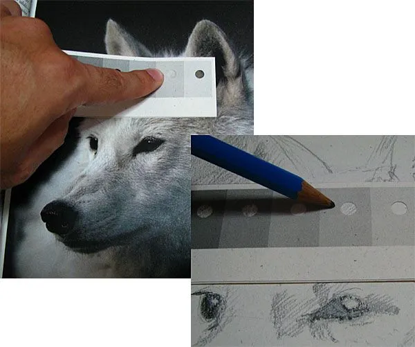 La Escala de Valores - Artistica